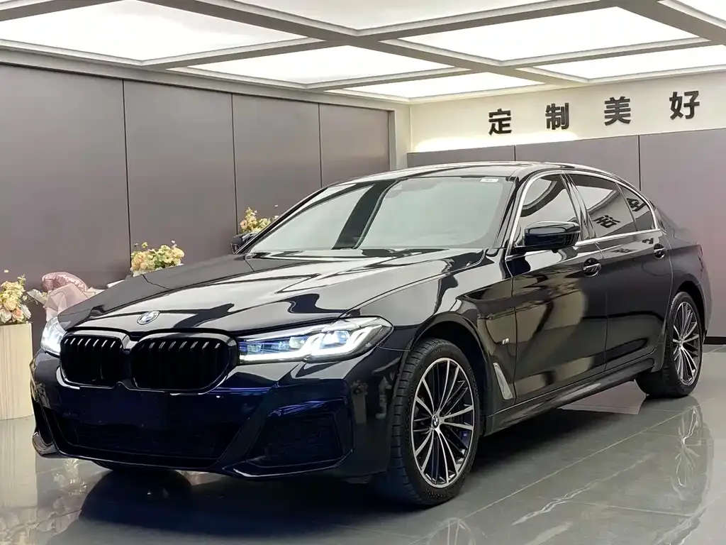 BMW 5 Series 2021 из CN, фото 1