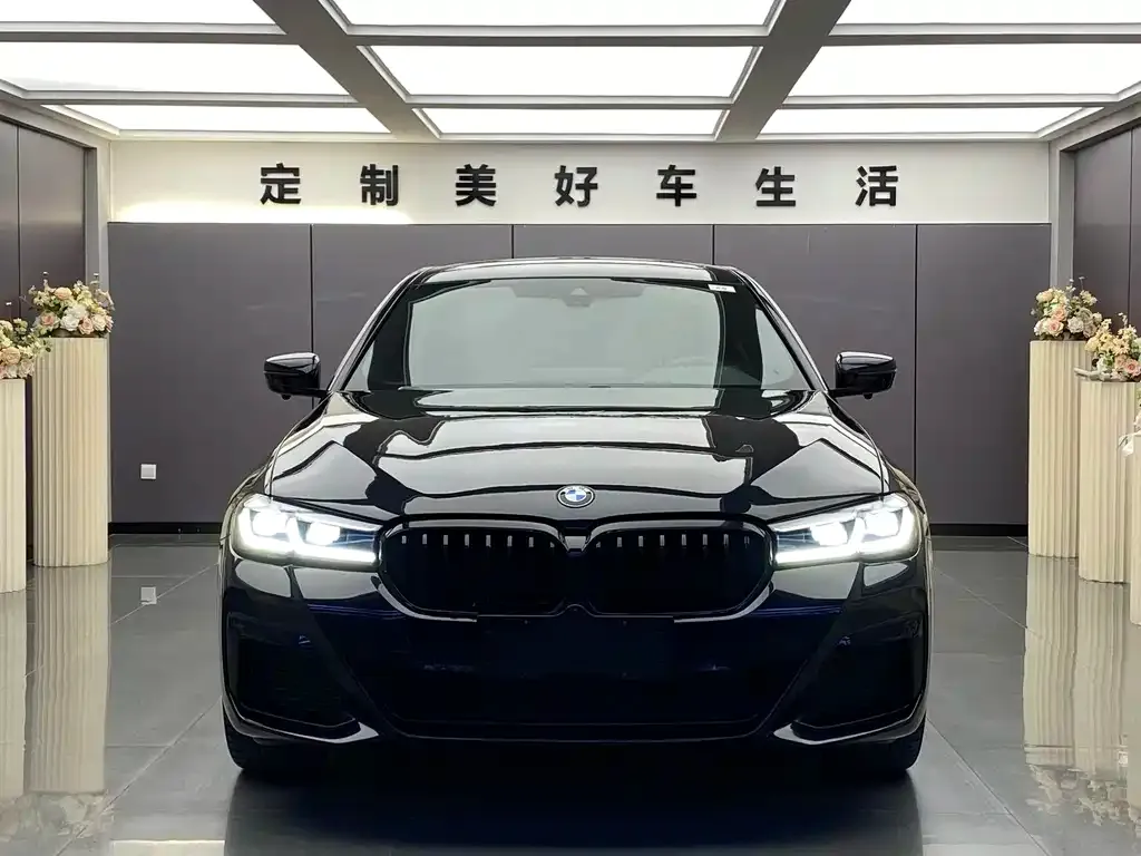 BMW 5 Series 2021 из CN, фото 2