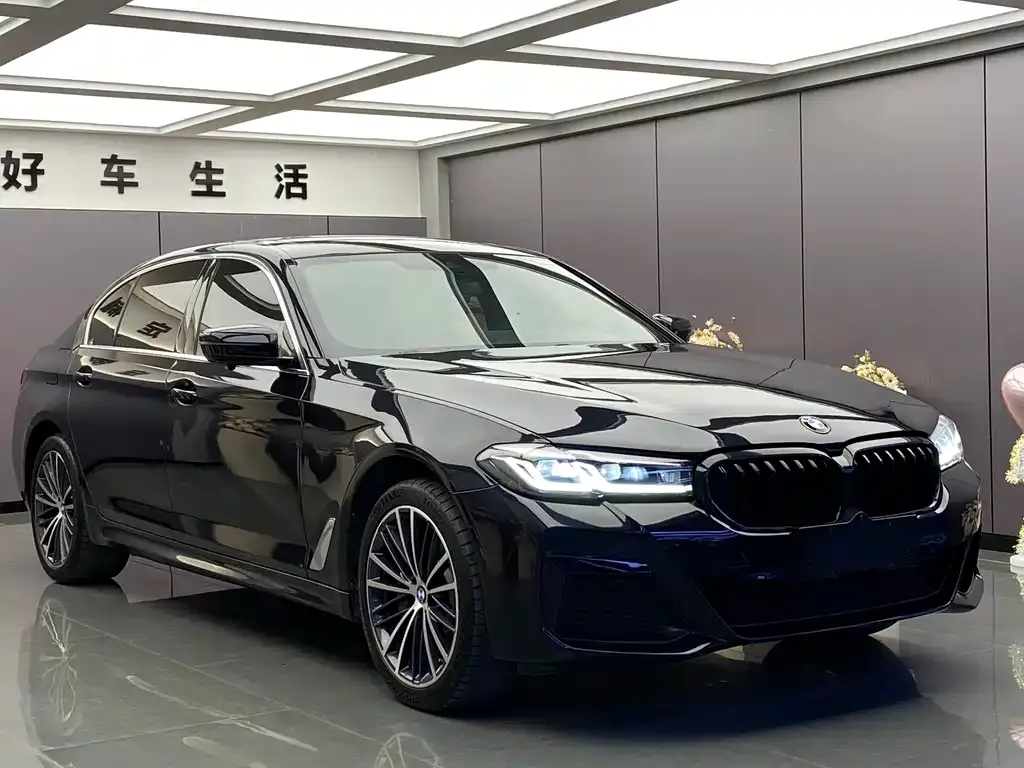 BMW 5 Series 2021 из CN, фото 3