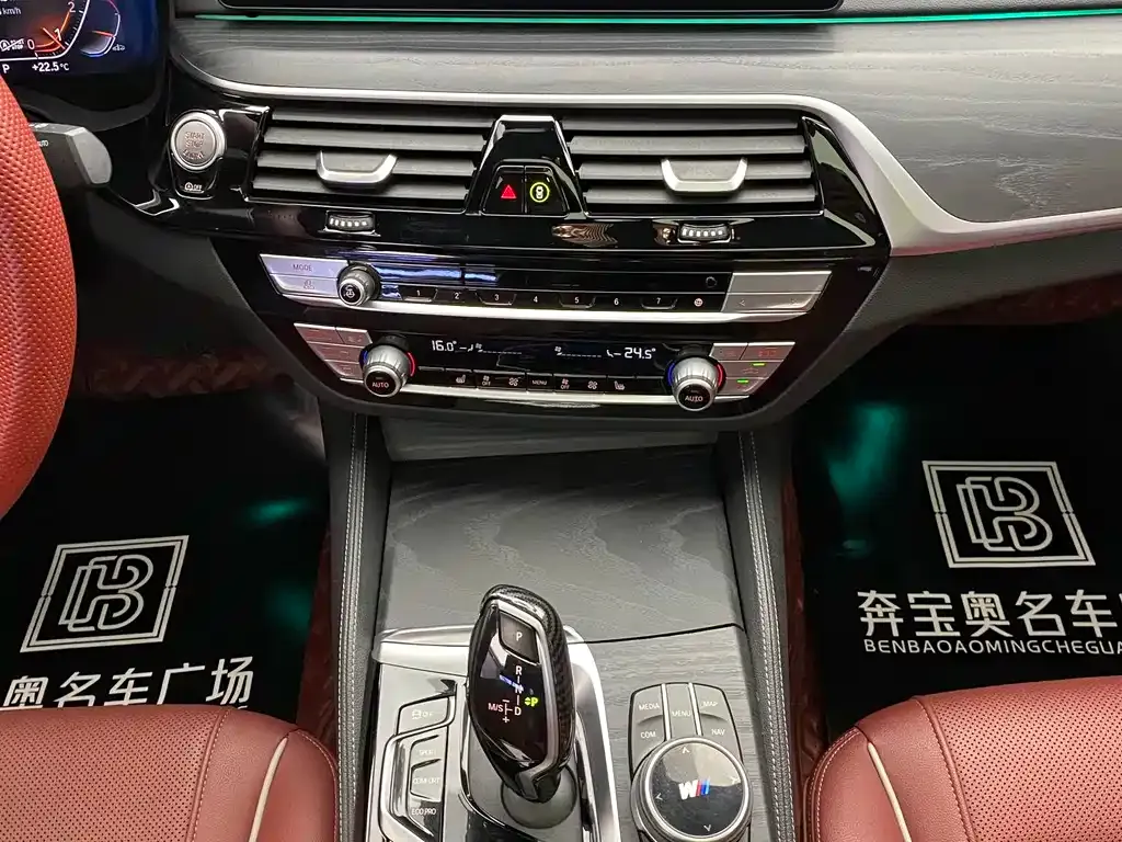 BMW 5 Series 2021 из CN, фото 4