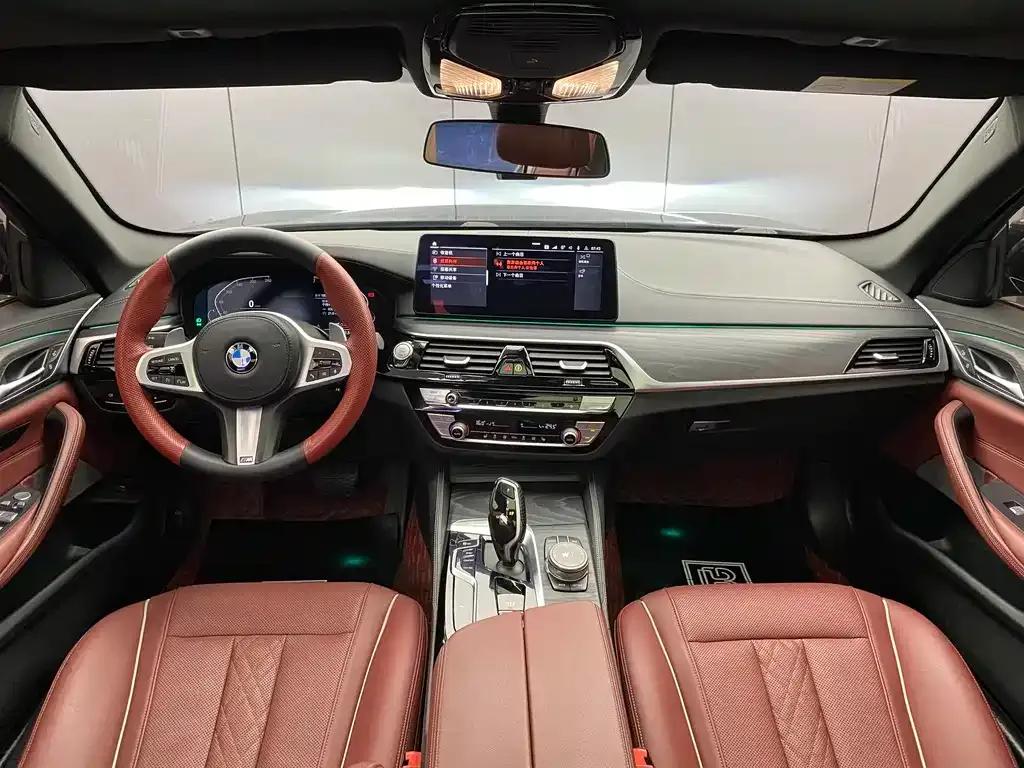 BMW 5 Series 2021 из CN, фото 6