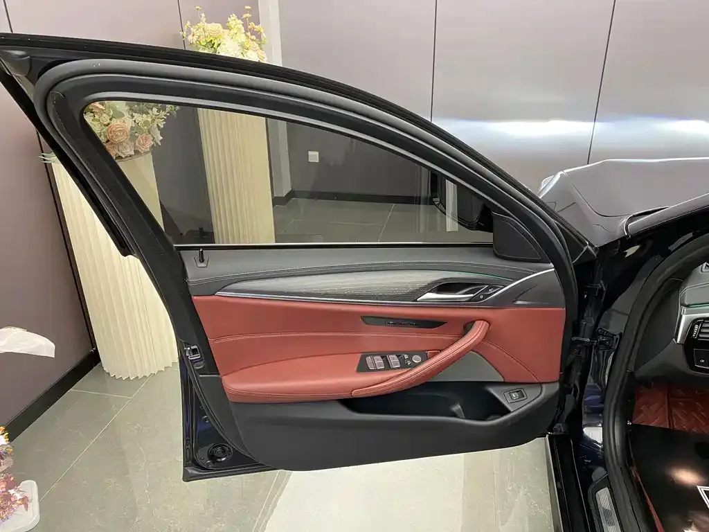 BMW 5 Series 2021 из CN, фото 7