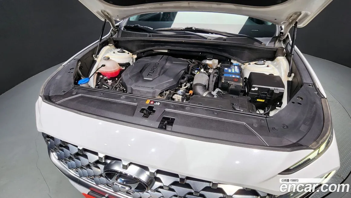Hyundai Santafe 2021 из KR, фото 6