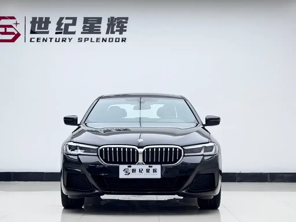 BMW 5 Series 2023 из CN, фото 3