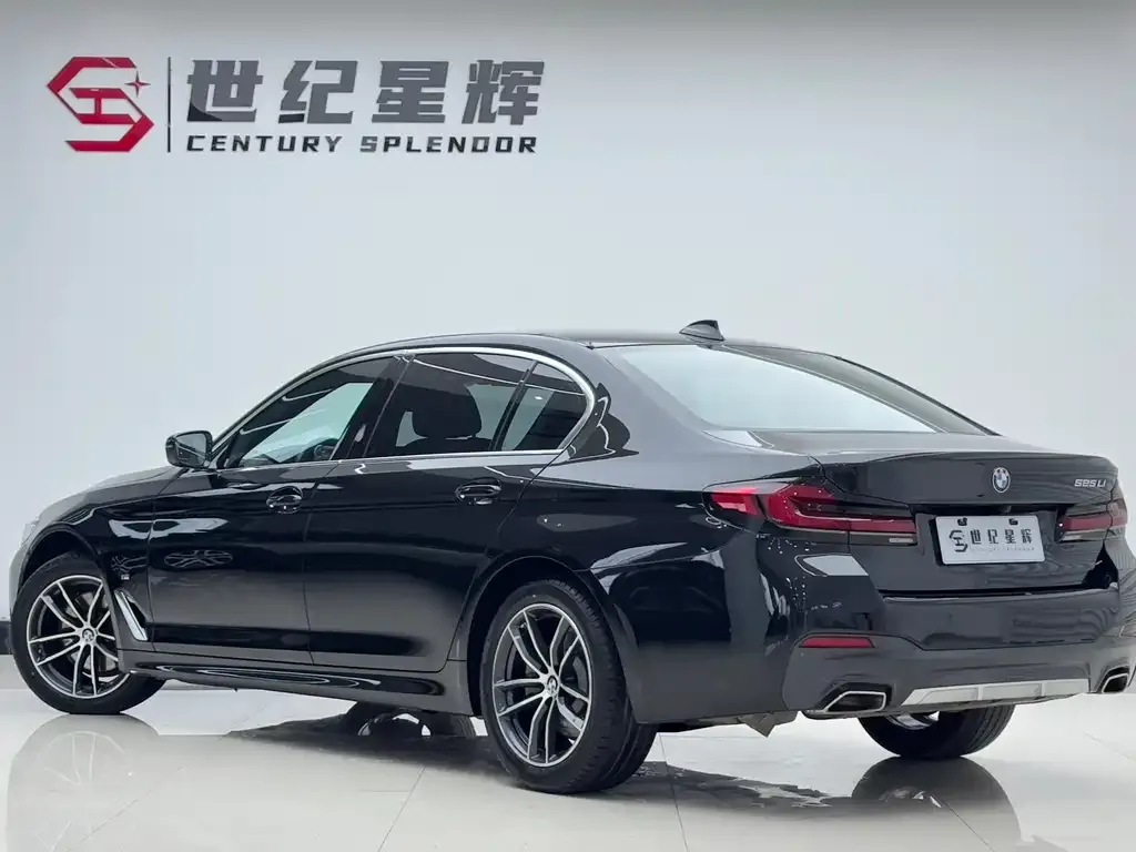 BMW 5 Series 2023 из CN, фото 4