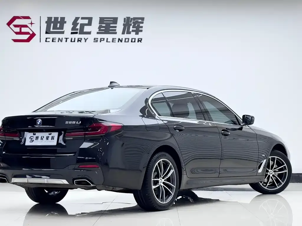 BMW 5 Series 2023 из CN, фото 5