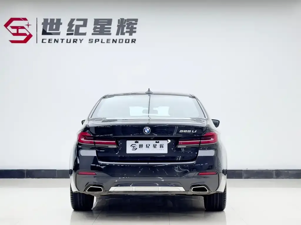 BMW 5 Series 2023 из CN, фото 6