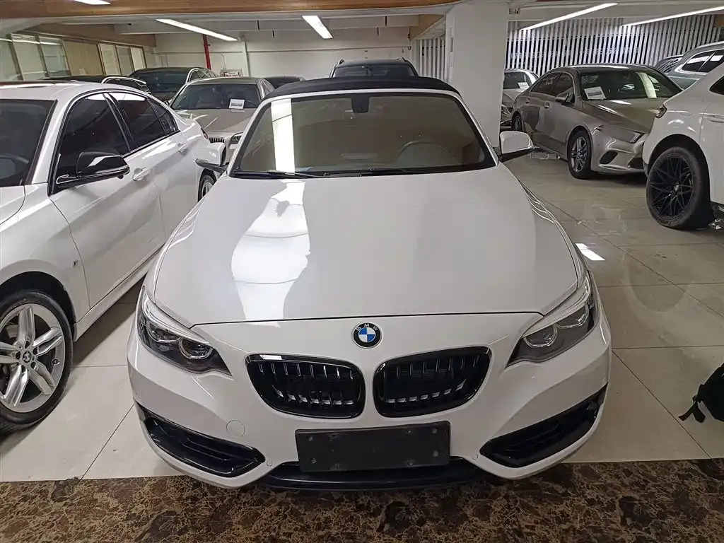 BMW 2 Series (Import) — фото 3