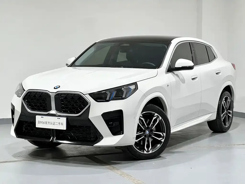 BMW X2 (Import) — фото 1