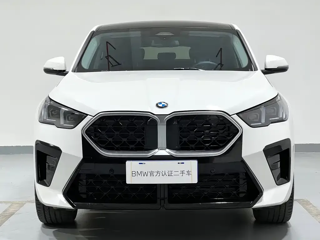 BMW X2 (Import) — фото 4