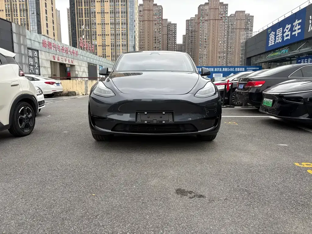Tesla Model Y 2024 из CN, фото 2