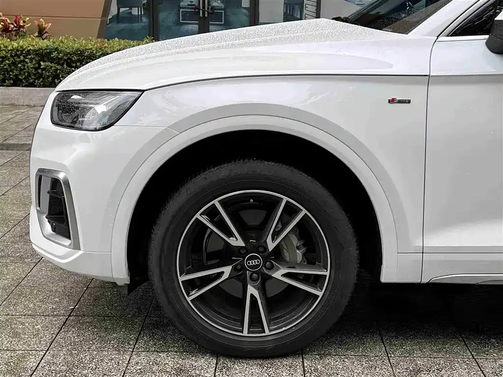 Audi Q5L 2024 из CN, фото 5