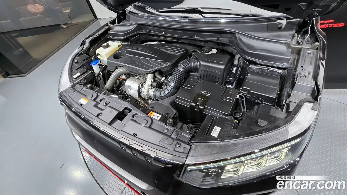 [object Object] TIBOLI 2024 из KR, фото 6