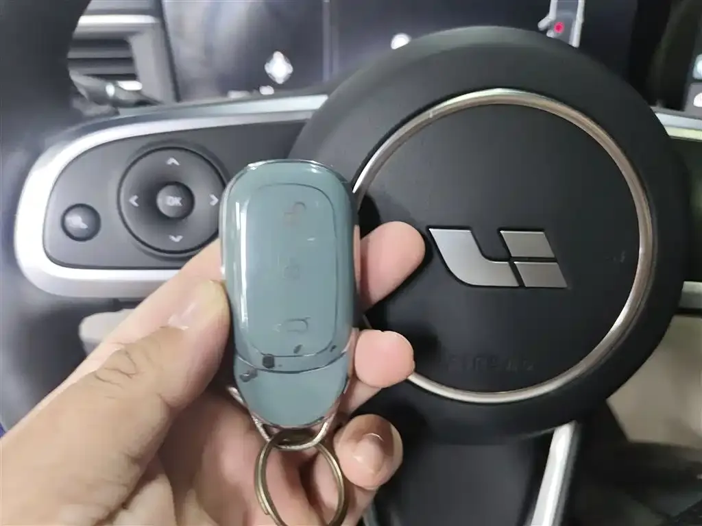 Li Auto ONE 2021 из CN, фото 9