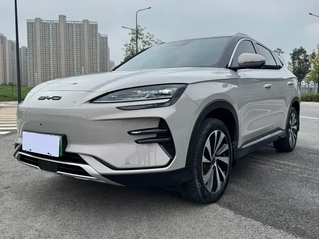 BYD PLUS New Energy 2023 из CN, фото 1