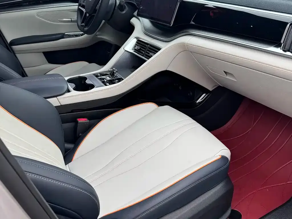BYD PLUS New Energy 2023 из CN, фото 5