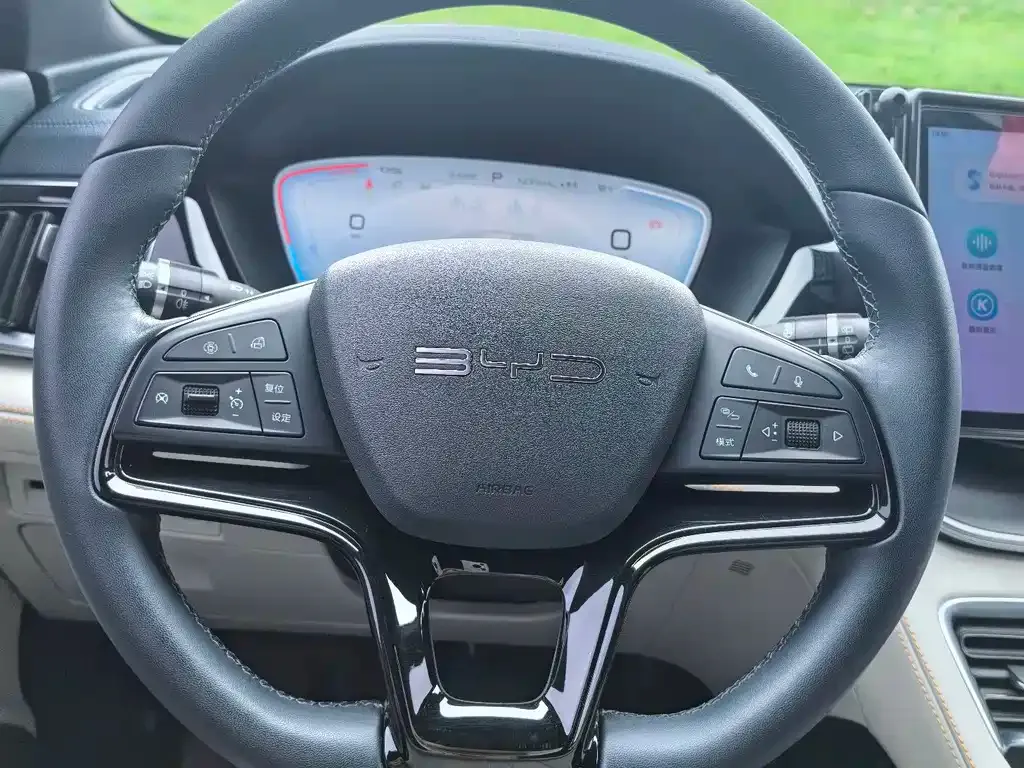 BYD PLUS New Energy 2023 из CN, фото 7