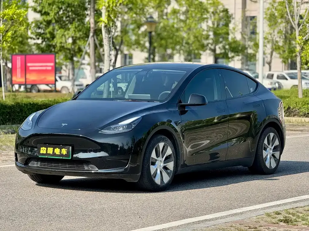 Tesla Model Y 2022 из CN, фото 1