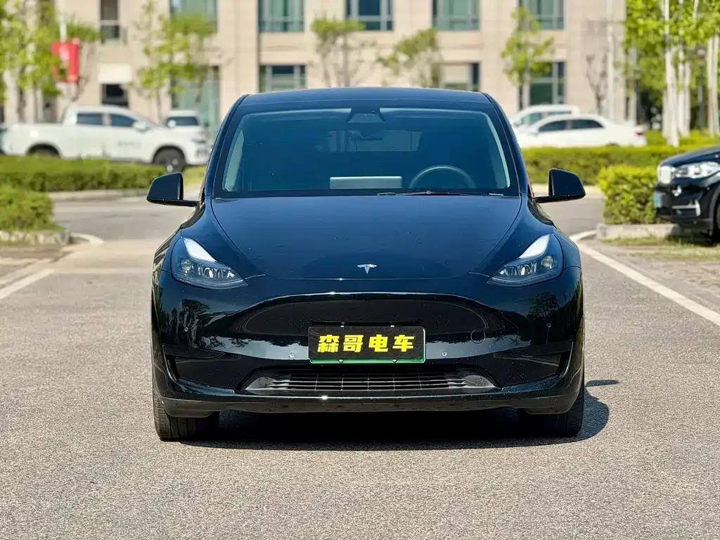 Tesla Model Y 2022 из CN, фото 2