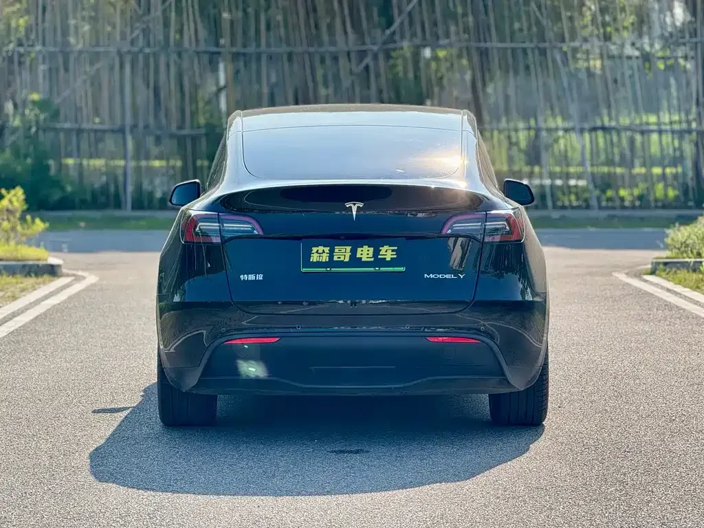 Tesla Model Y 2022 из CN, фото 4
