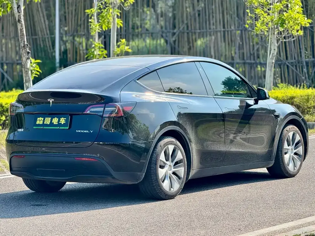 Tesla Model Y 2022 из CN, фото 6