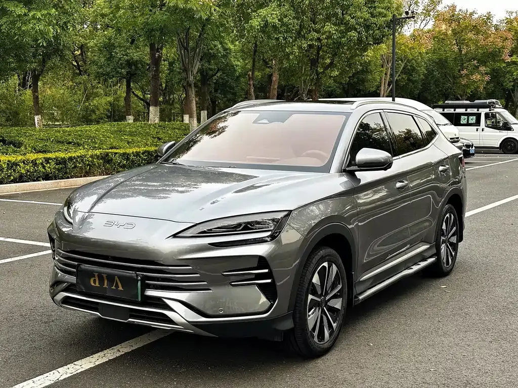 BYD PLUS New Energy 2024 из CN, фото 1