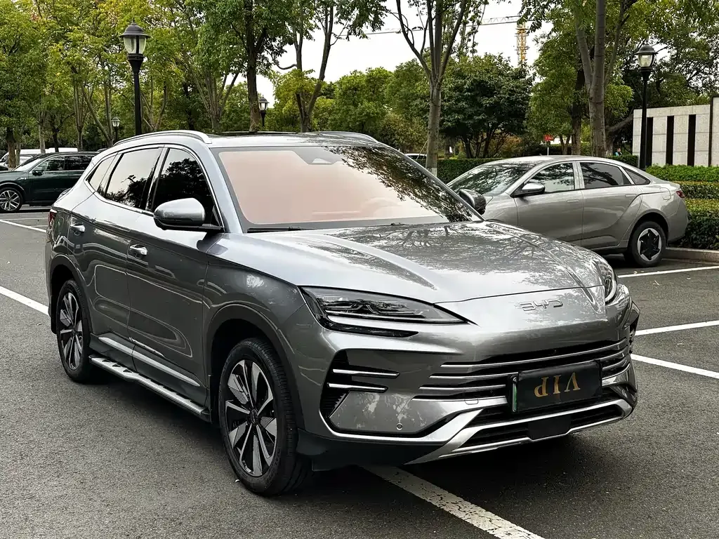 BYD PLUS New Energy 2024 из CN, фото 2