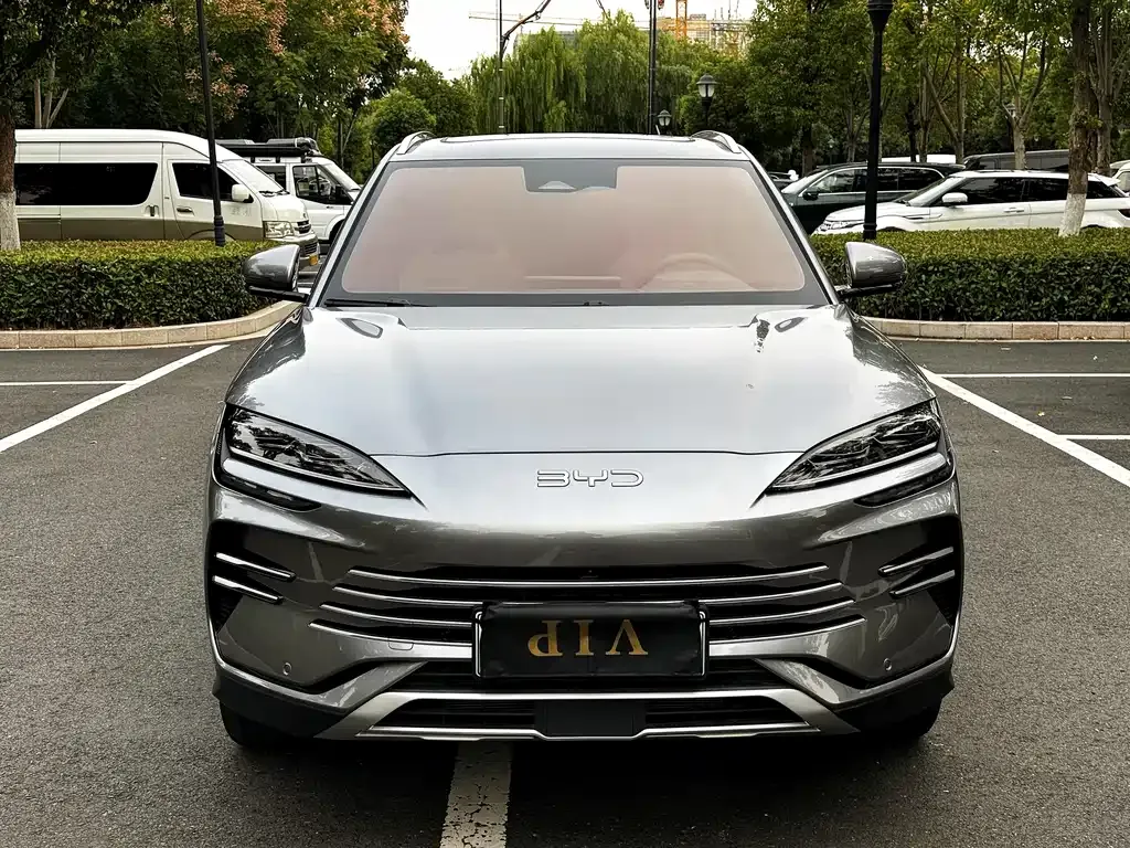 BYD PLUS New Energy 2024 из CN, фото 3
