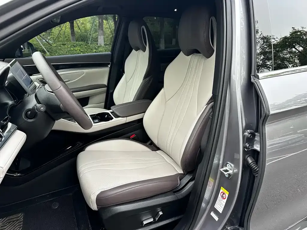 BYD PLUS New Energy 2024 из CN, фото 4