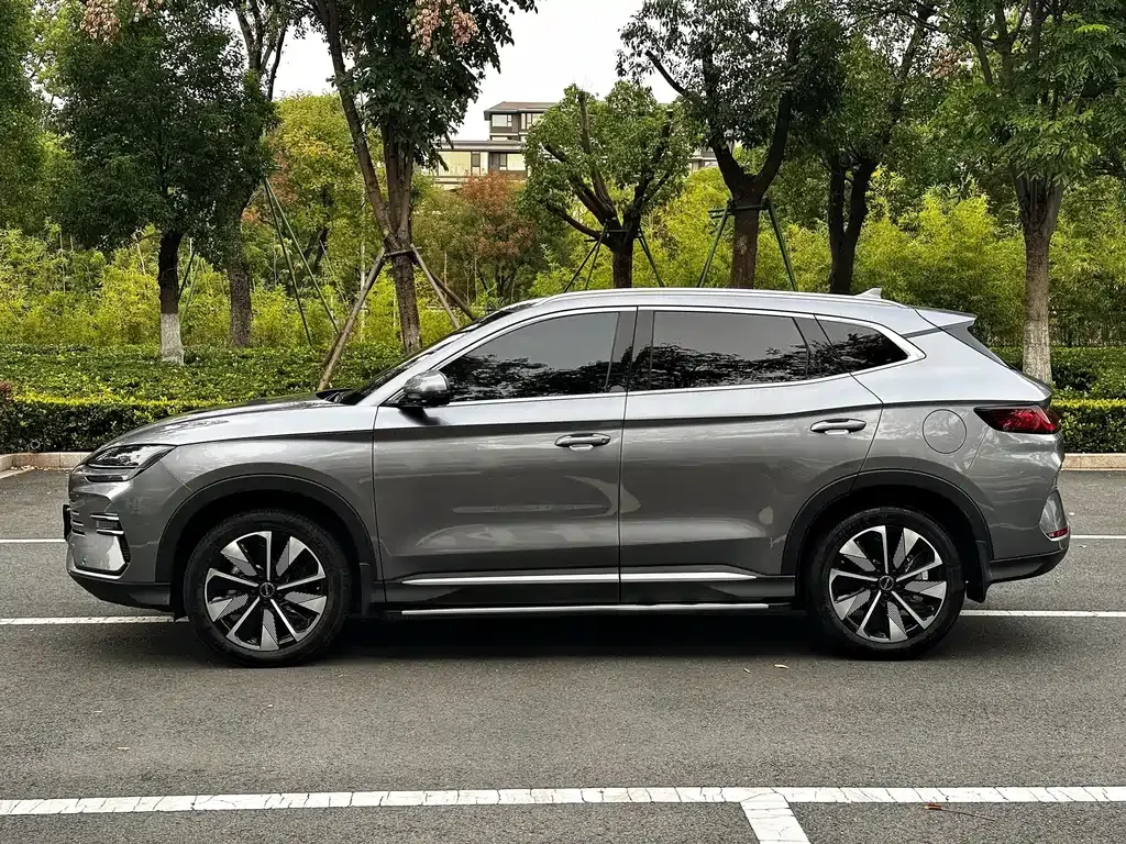 BYD PLUS New Energy 2024 из CN, фото 5