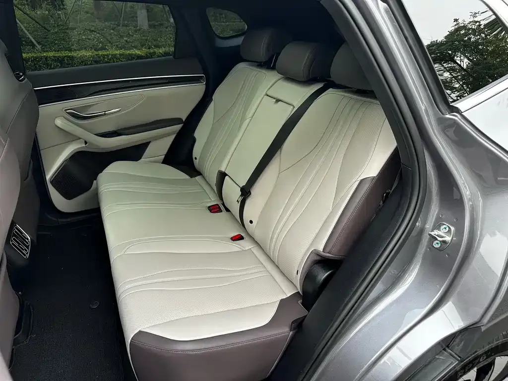BYD PLUS New Energy 2024 из CN, фото 6