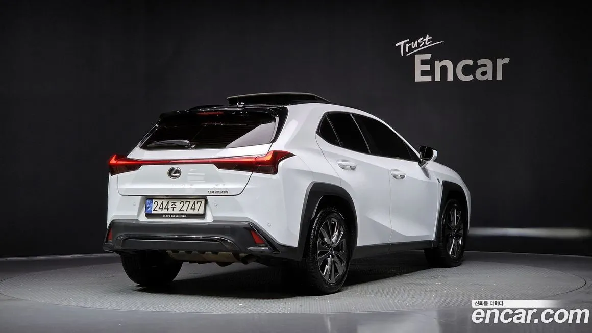 Lexus UX 2024 из KR, фото 2
