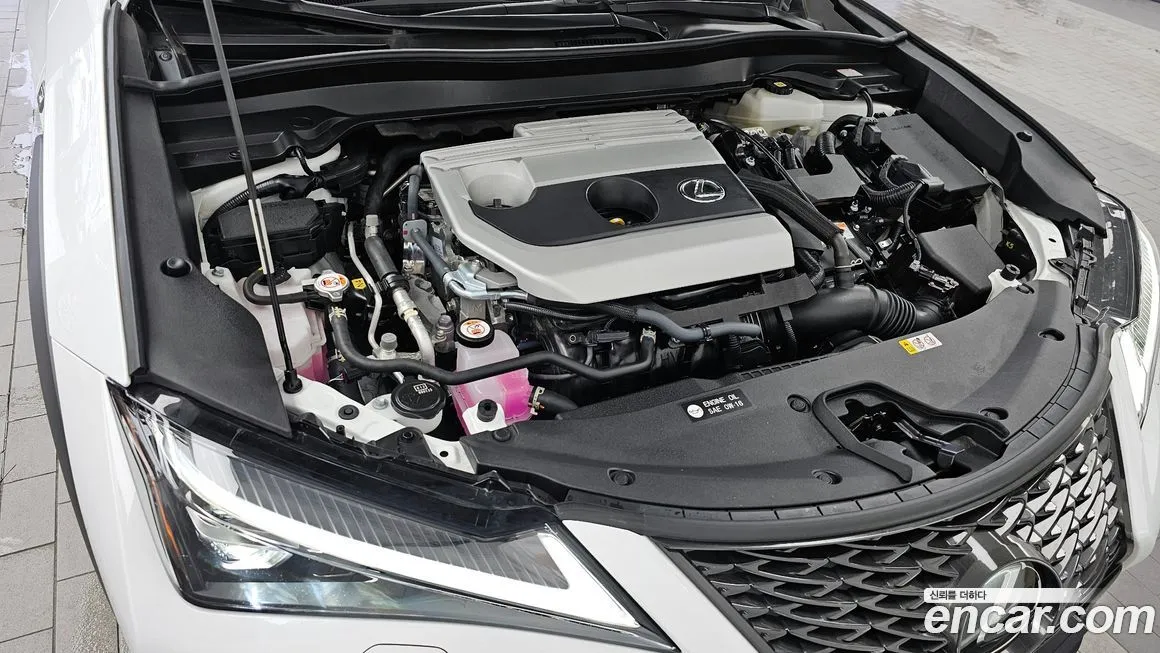 Lexus UX 2024 из KR, фото 6