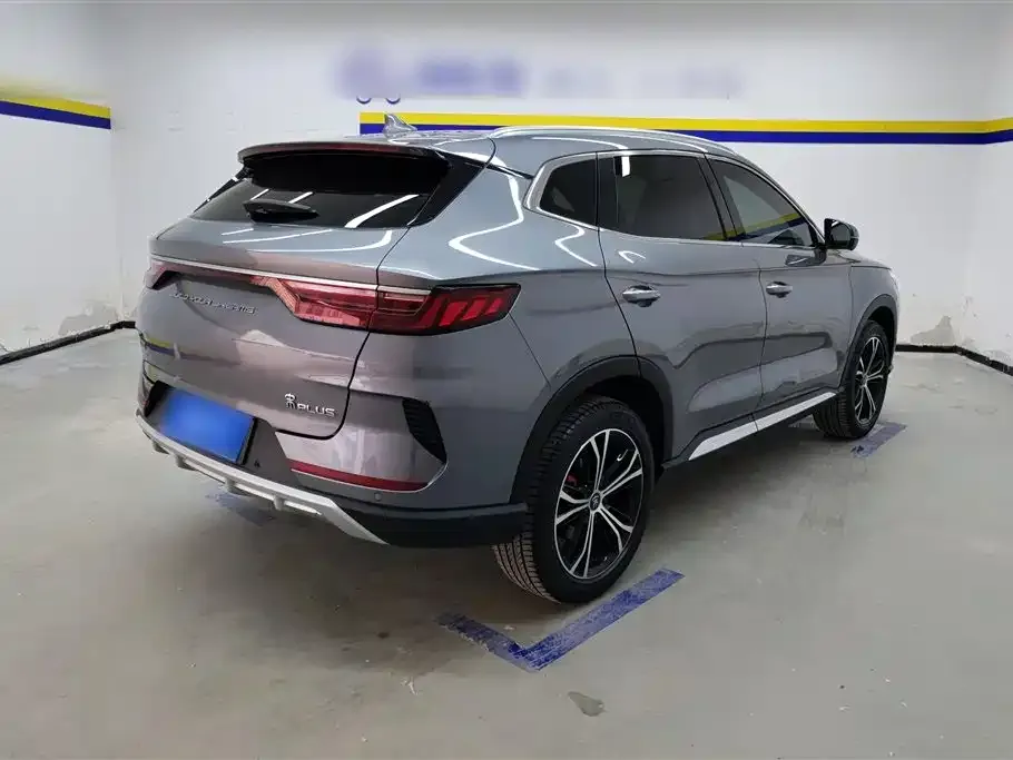 BYD PLUS 2021 из CN, фото 6
