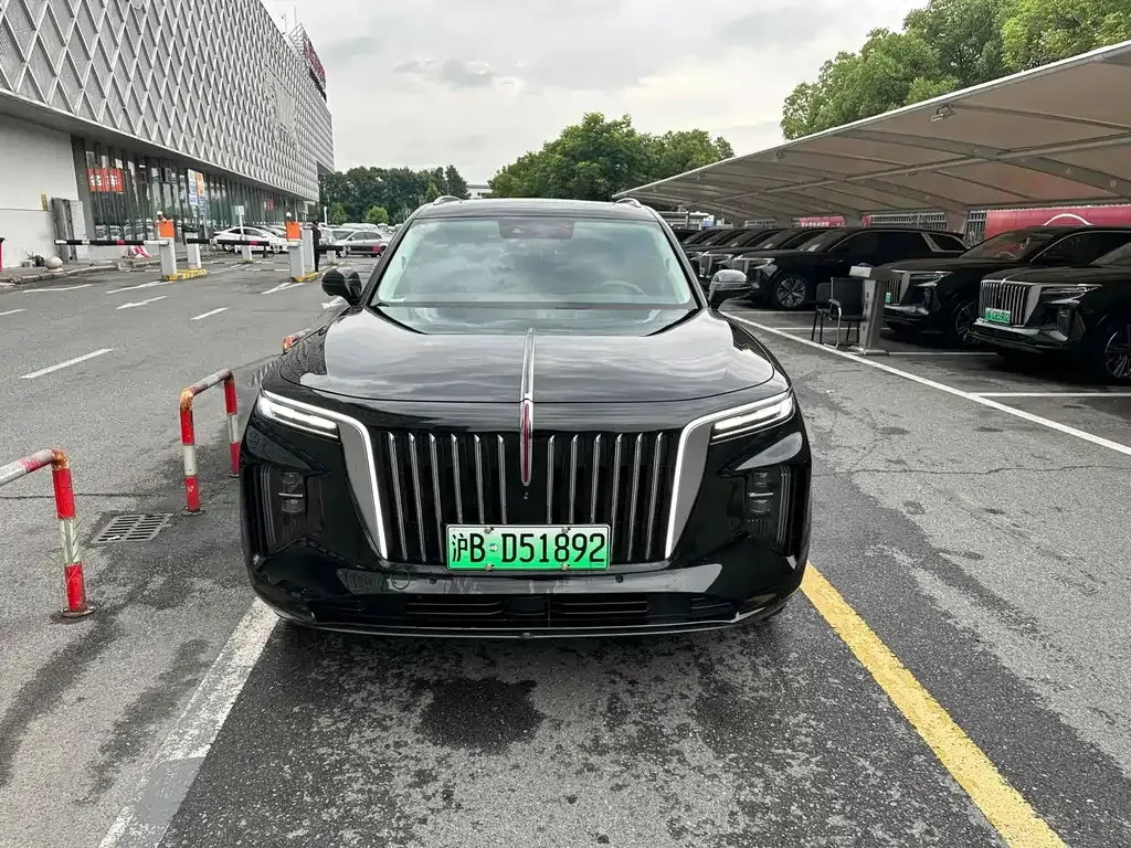 Hongqi E-HS9 2023 из CN, фото 2
