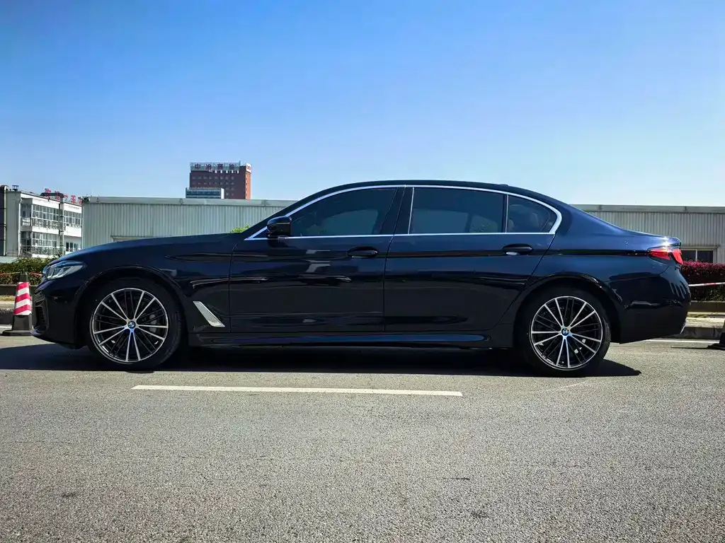BMW 5 Series 2021 из CN, фото 2