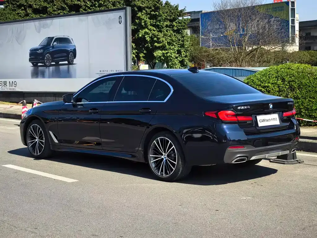 BMW 5 Series 2021 из CN, фото 3