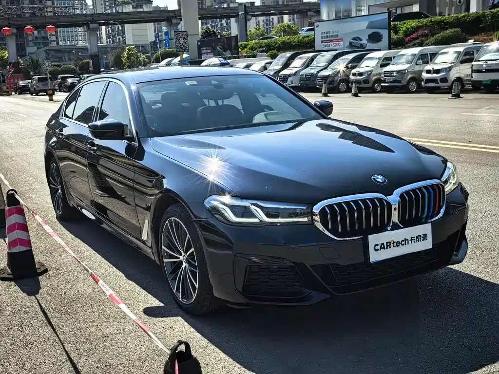 BMW 5 Series 2021 из CN, фото 6