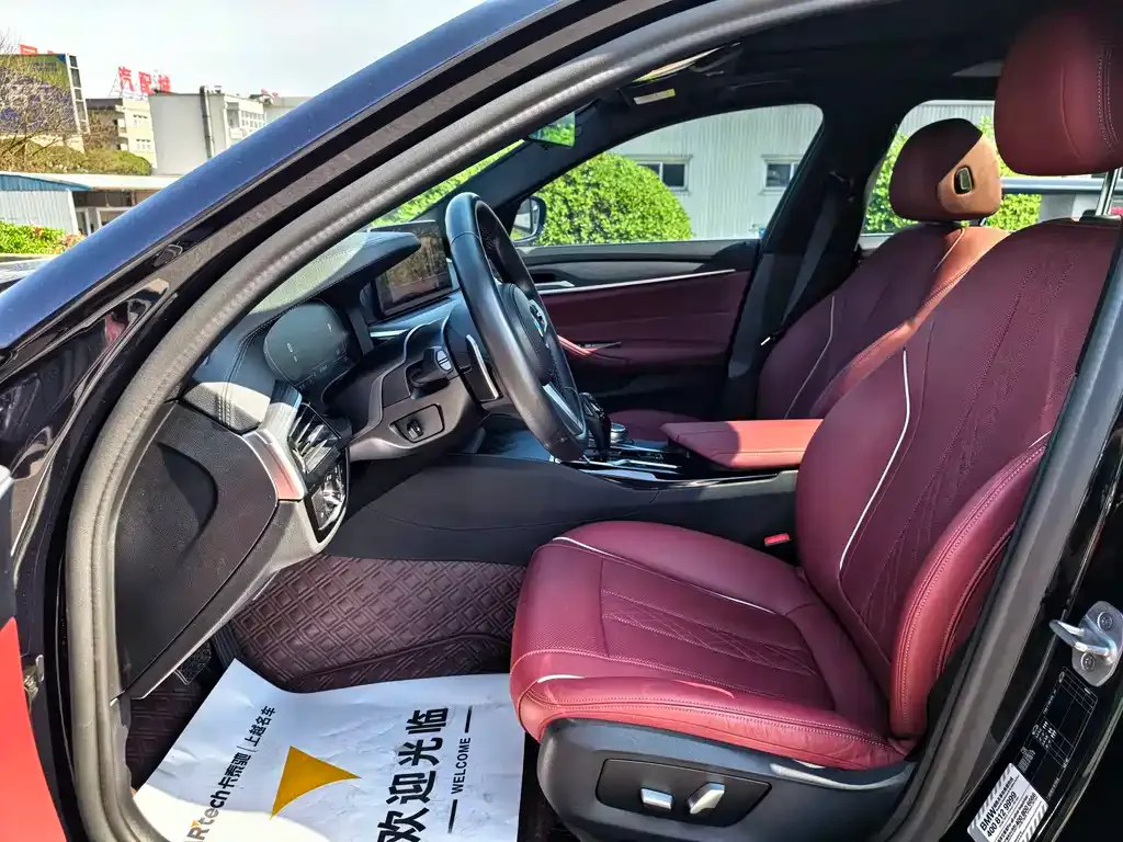 BMW 5 Series 2021 из CN, фото 8