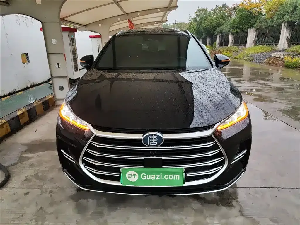 BYD Tang New Energy 2024 из CN, фото 3
