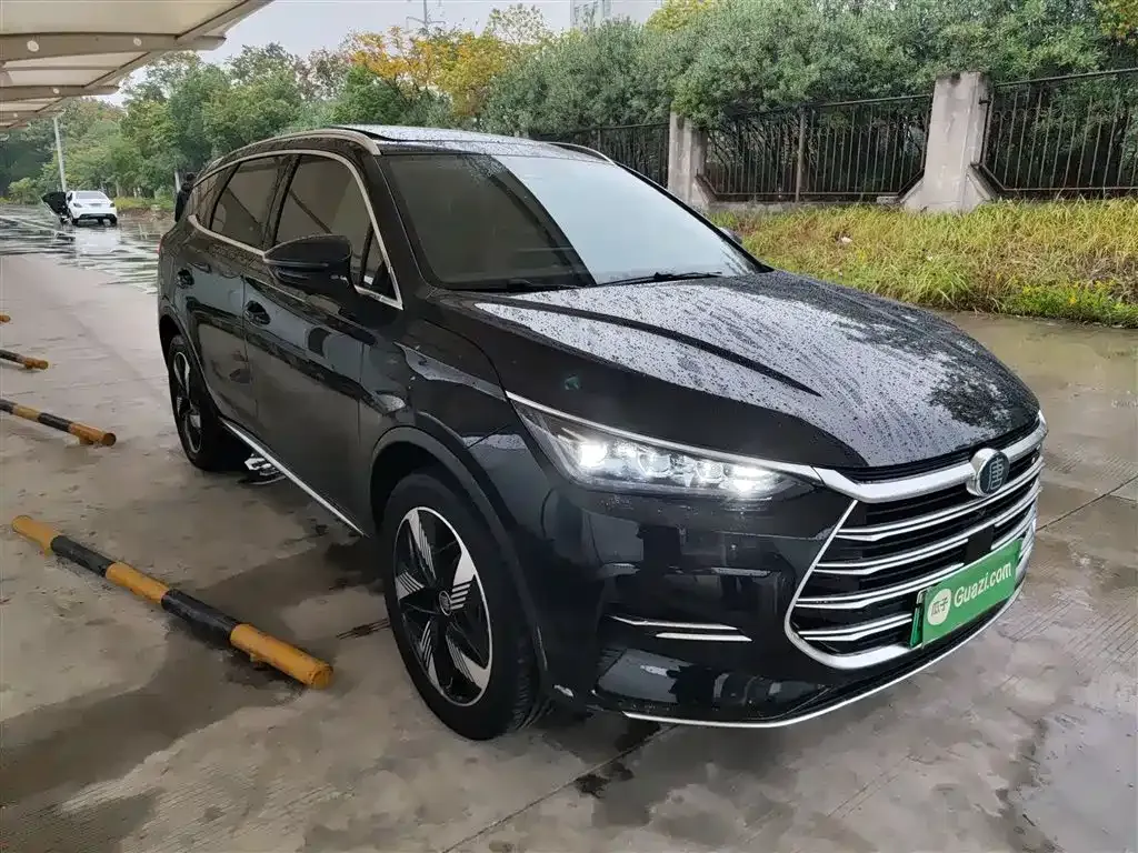 BYD Tang New Energy 2024 из CN, фото 4