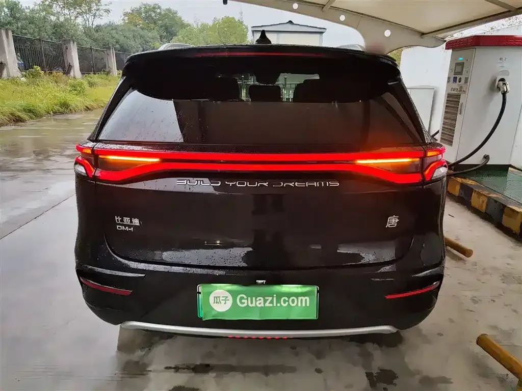 BYD Tang New Energy 2024 из CN, фото 6