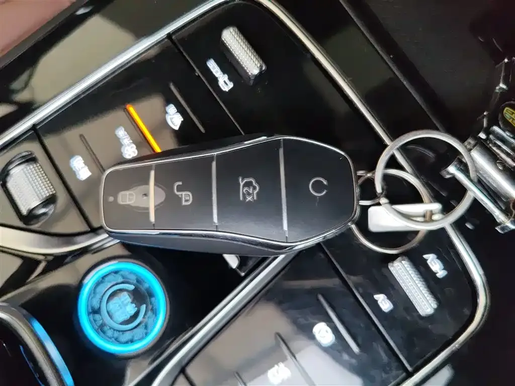 BYD Tang New Energy 2024 из CN, фото 9