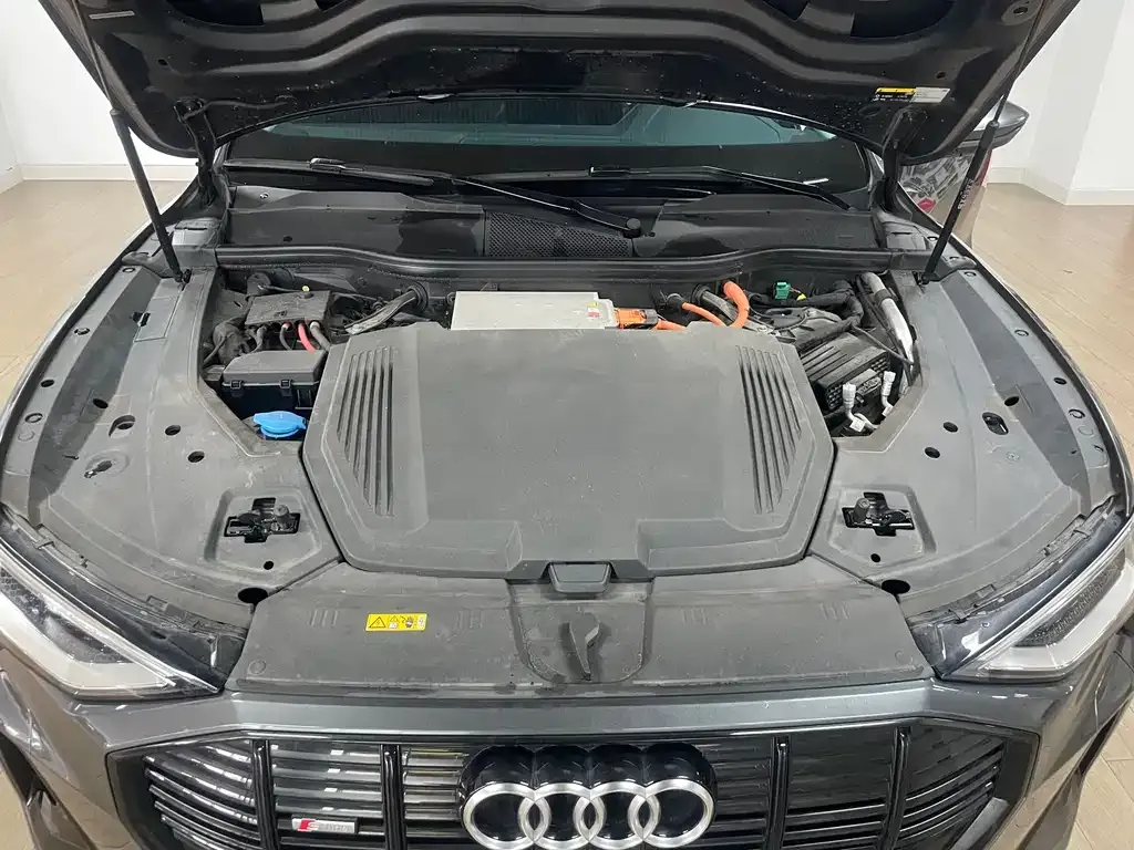 Audi e-tron (Import) 2022 из CN, фото 6
