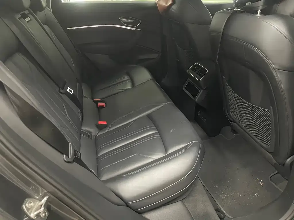 Audi e-tron (Import) 2022 из CN, фото 9