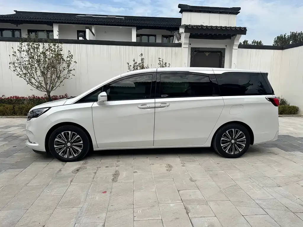 Buick GL8 2021 из CN, фото 4