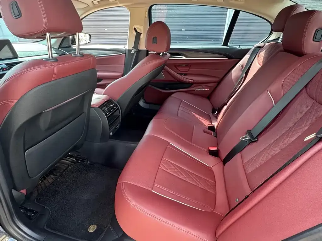 BMW 5 Series 2023 из CN, фото 5
