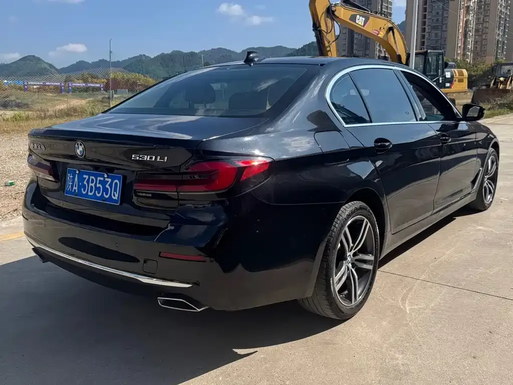 BMW 5 Series 2023 из CN, фото 9