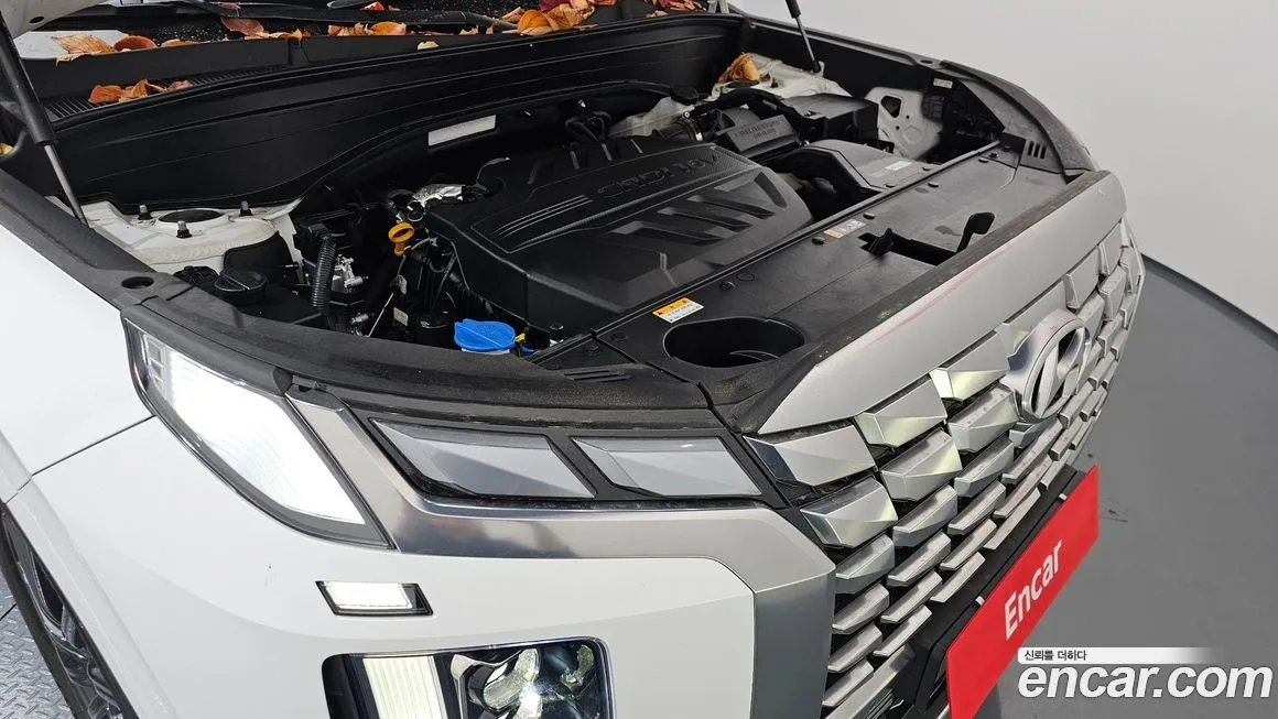 Hyundai Palisade 2024 из KR, фото 6