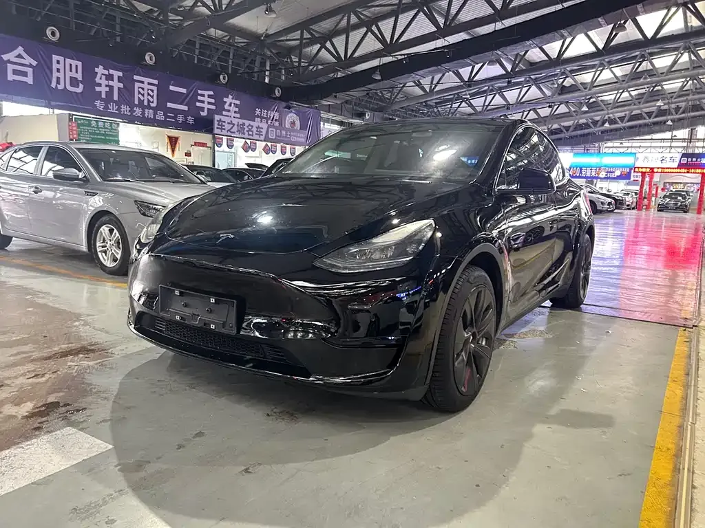 Tesla Model Y — фото 1